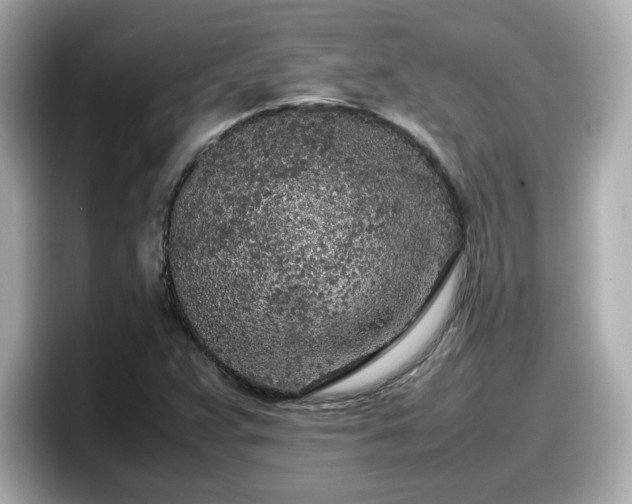 X0000098121359200804111107