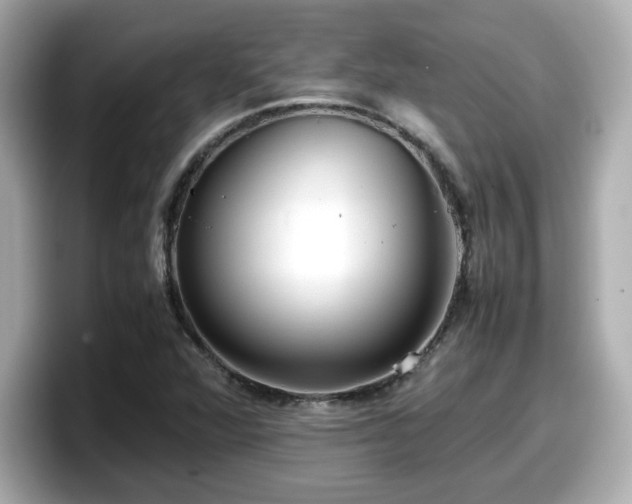 X0000098121360200804111107