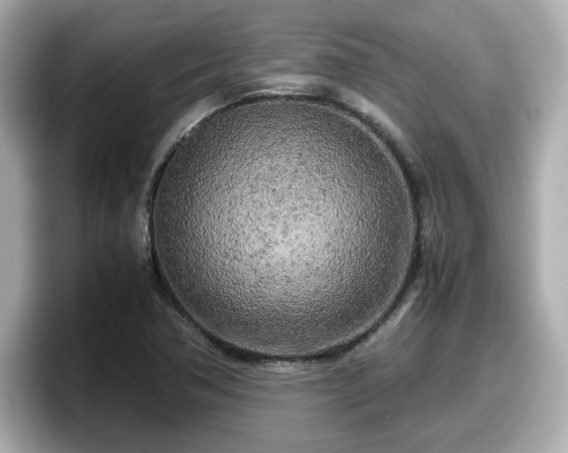 X0000098121362200804111107
