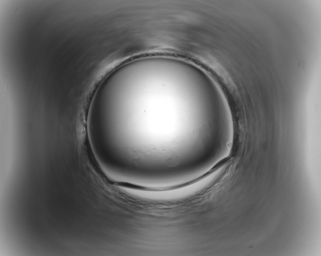 X0000098121363200804111107