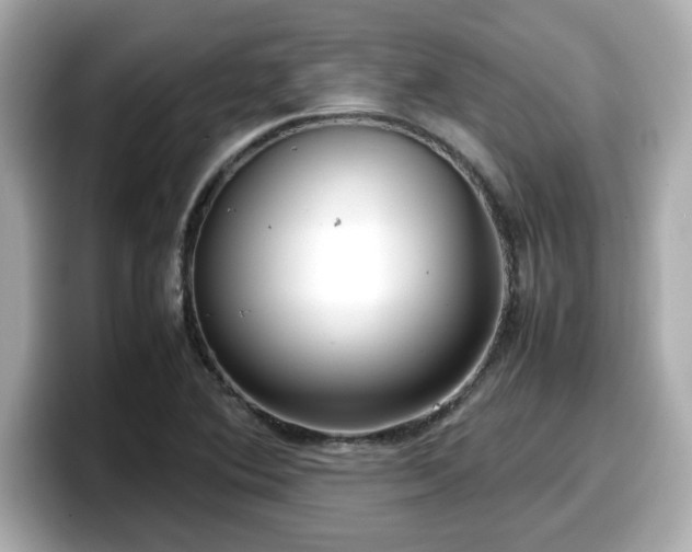 X0000098121364200804111107