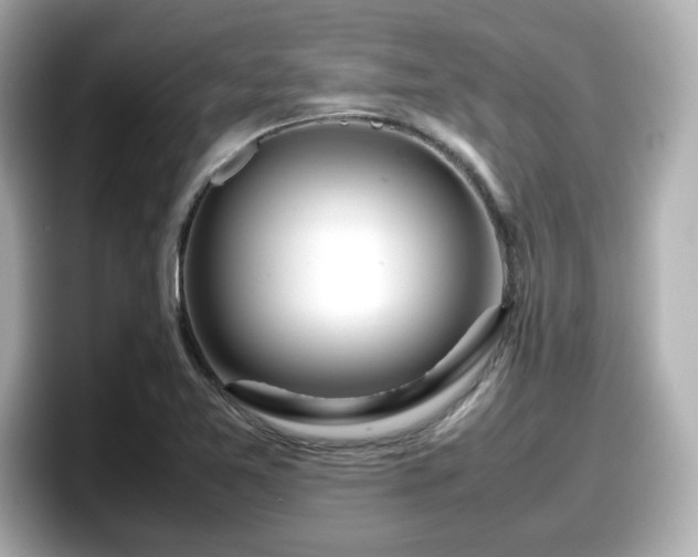 X0000098121365200804111107