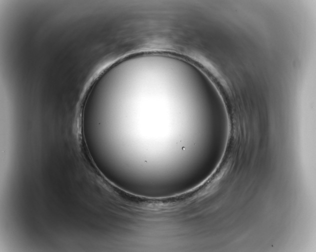 X0000098121366200804111107