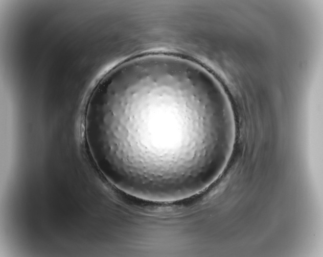 X0000098121367200804111107