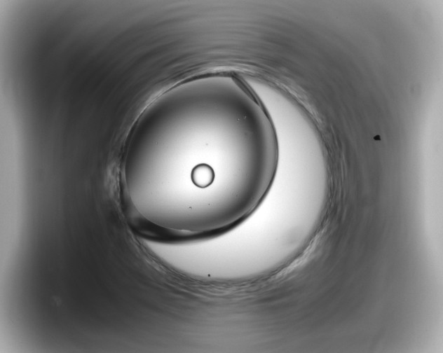 X0000098121369200804111107