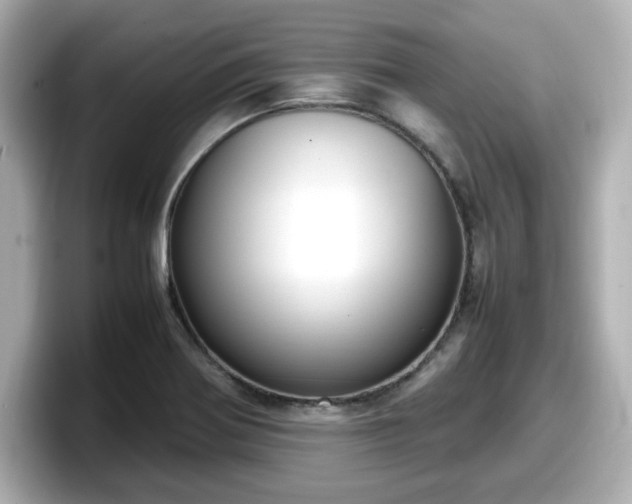 X0000098121370200804111107