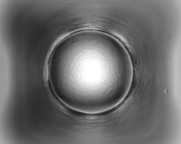 X0000098121371200804111107