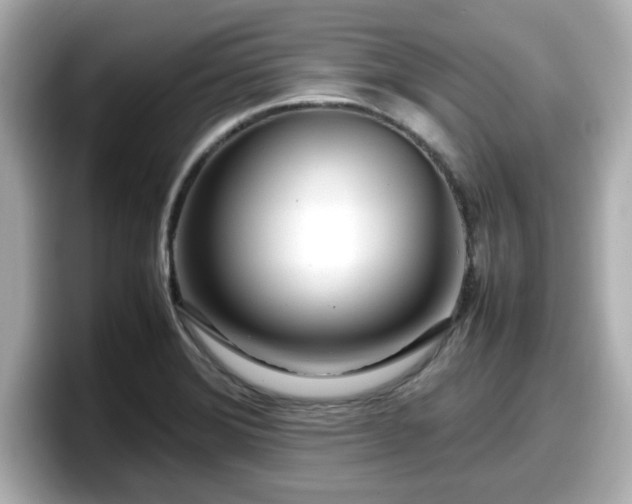 X0000098121372200804111106