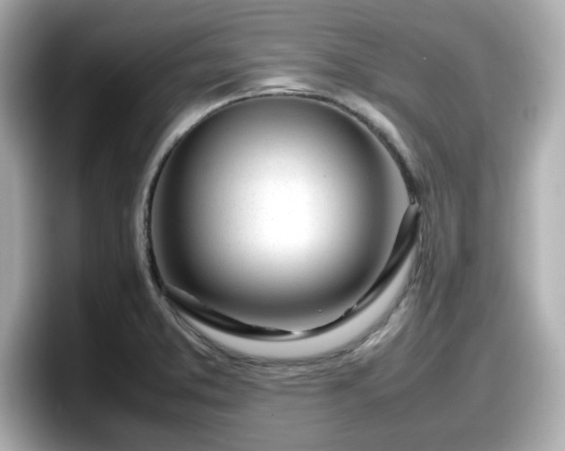 X0000098121373200804111106