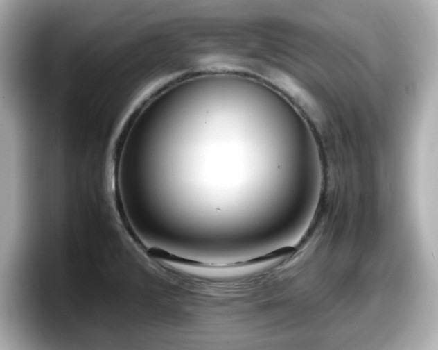 X0000098121376200804111106
