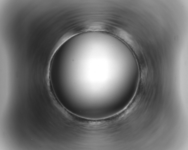 X0000098121378200804111106