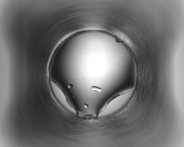 X0000098121380200804111106