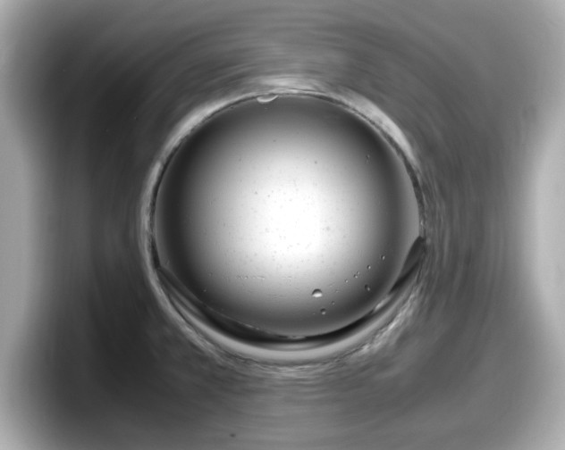 X0000098121381200804111106