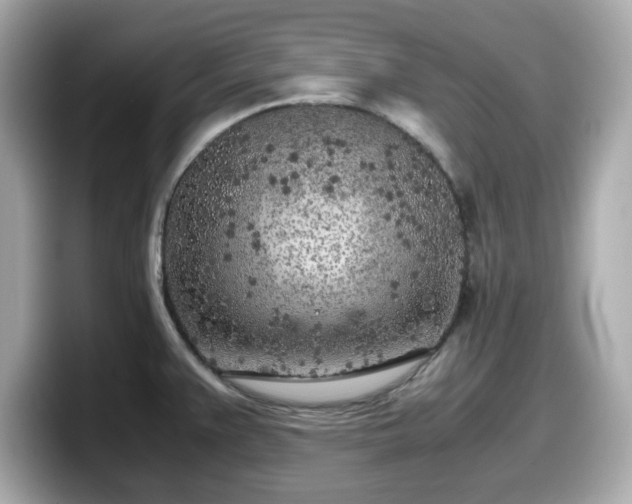 X0000098121383200804111106