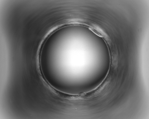 X0000098121384200804111106