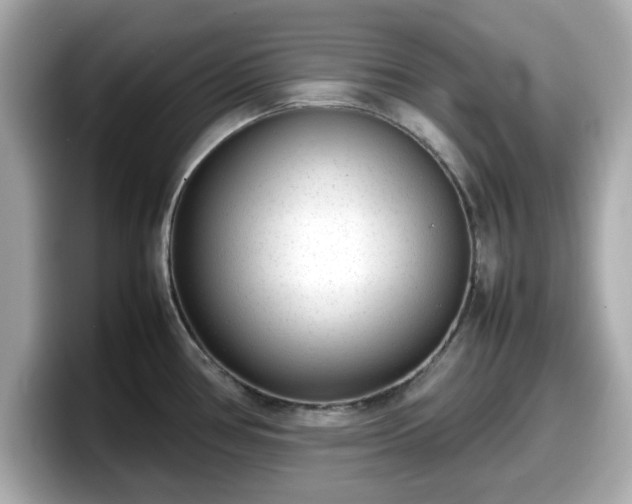 X0000098121386200804111106