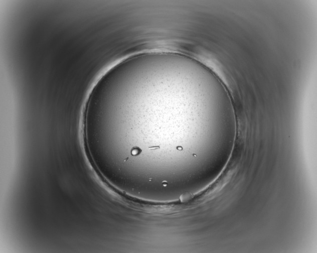 X0000098121387200804111106