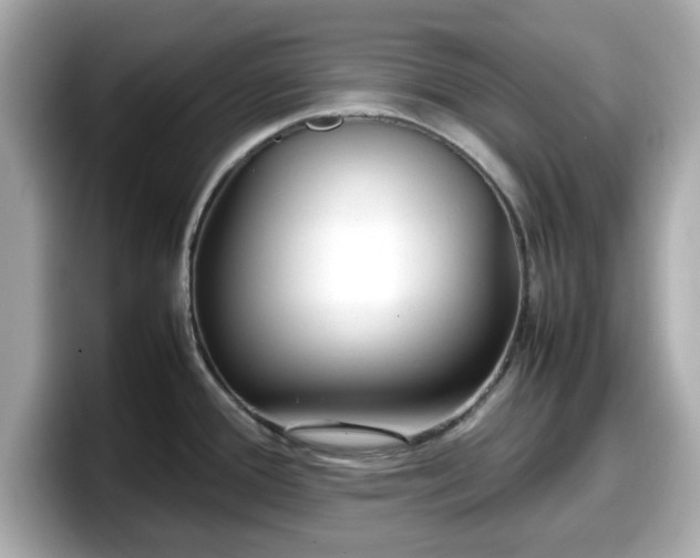 X0000098121388200804111106