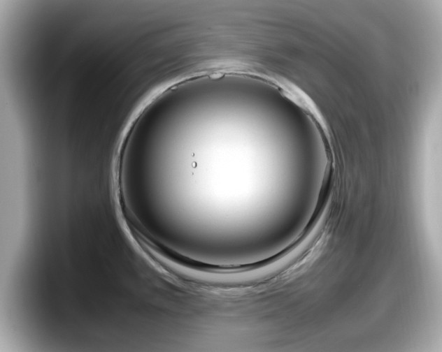 X0000098121389200804111106