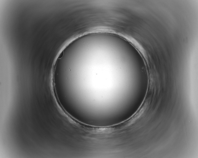 X0000098121390200804111106