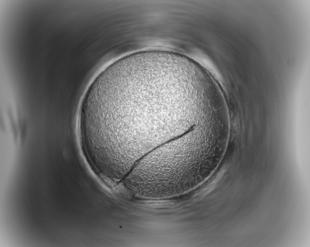 X0000098121391200804111106