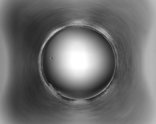 X0000098121392200804111106
