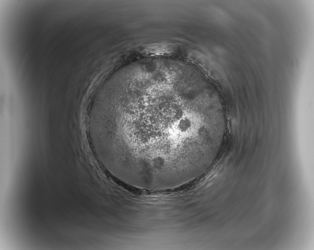 X0000098121393200804111106