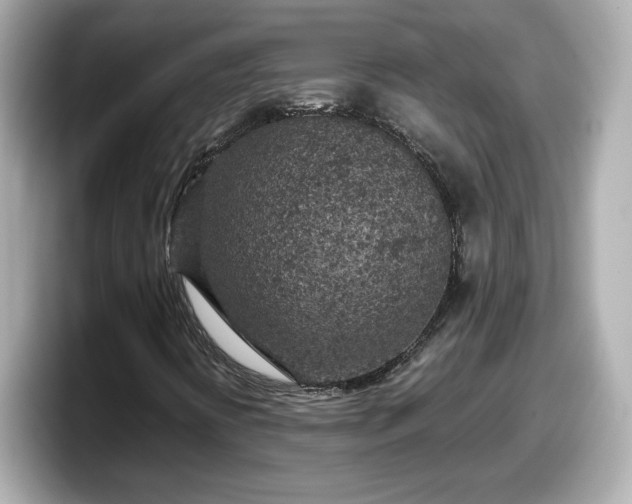X0000098121394200804111106