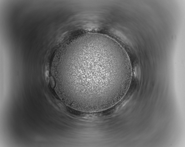 X0000098121396200804111106