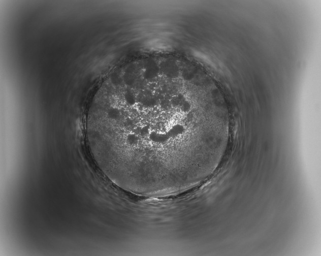 X0000098121397200804111106