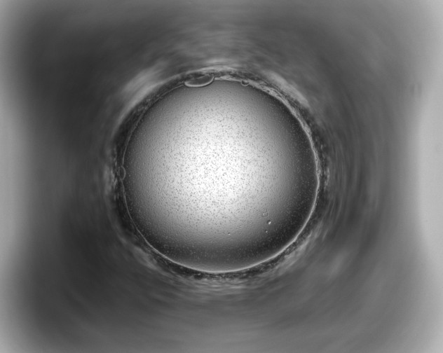 X0000098121400200804111106