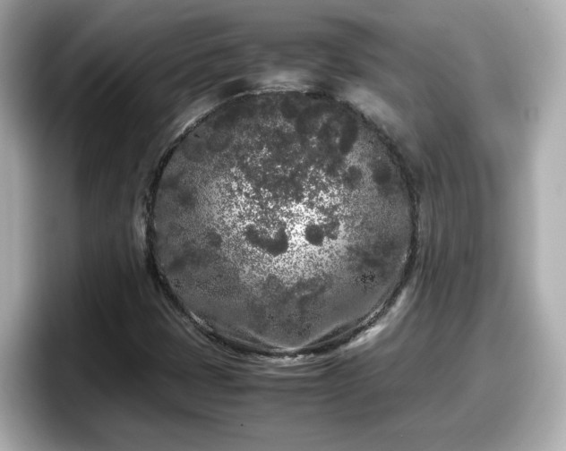 X0000098121401200804111106
