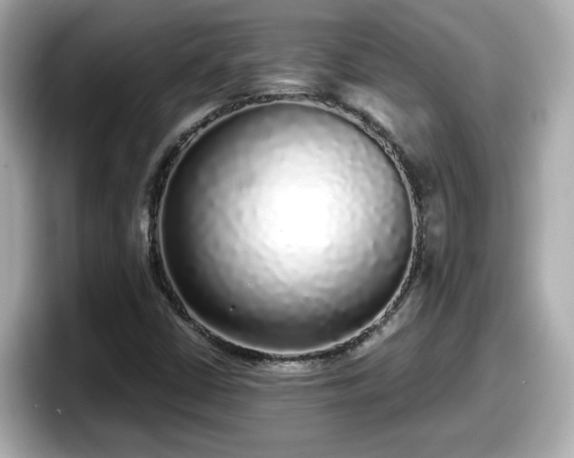 X0000098121402200804111106