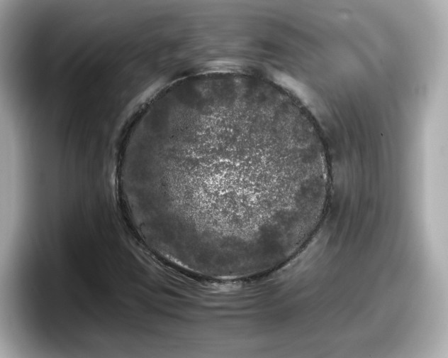 X0000098121403200804111106