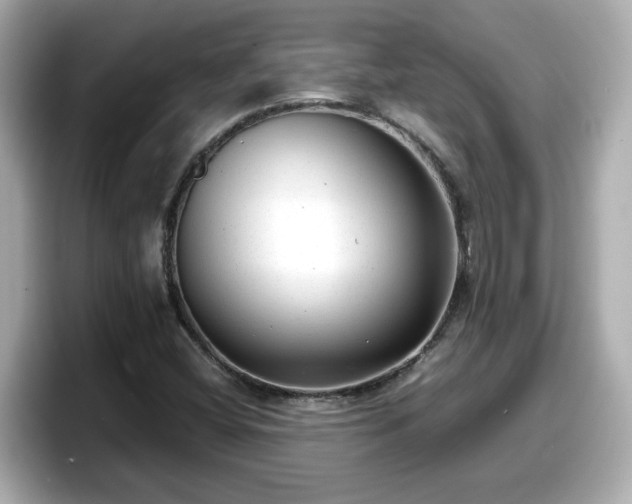 X0000098121404200804111106