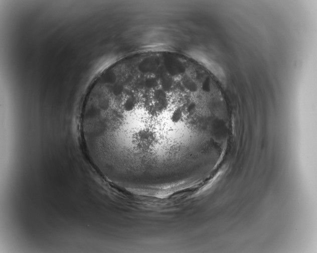 X0000098121405200804111106