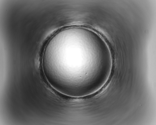 X0000098121406200804111106