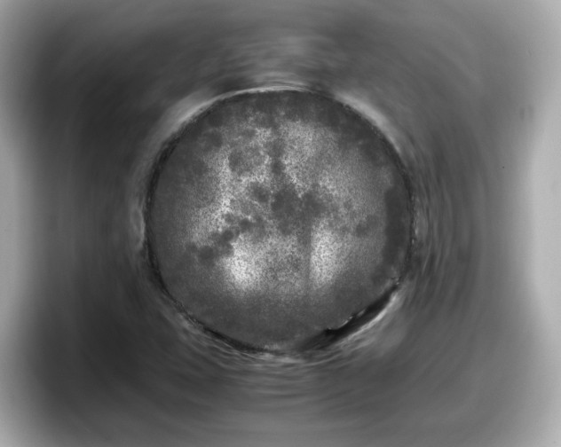 X0000098121407200804111106
