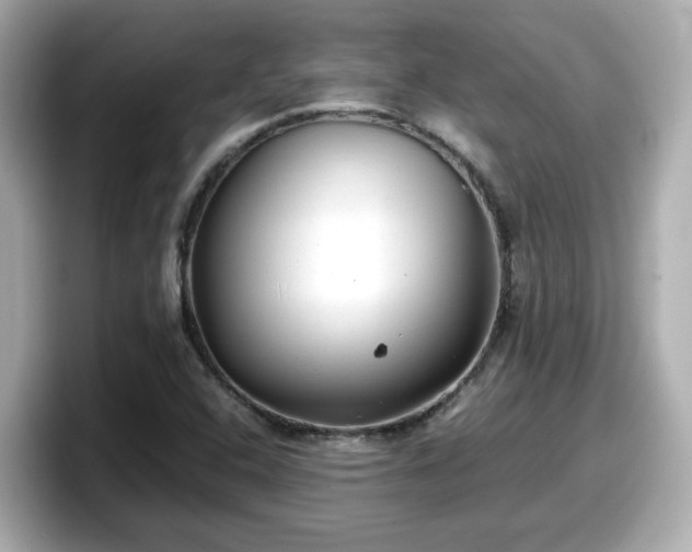 X0000098121408200804111106