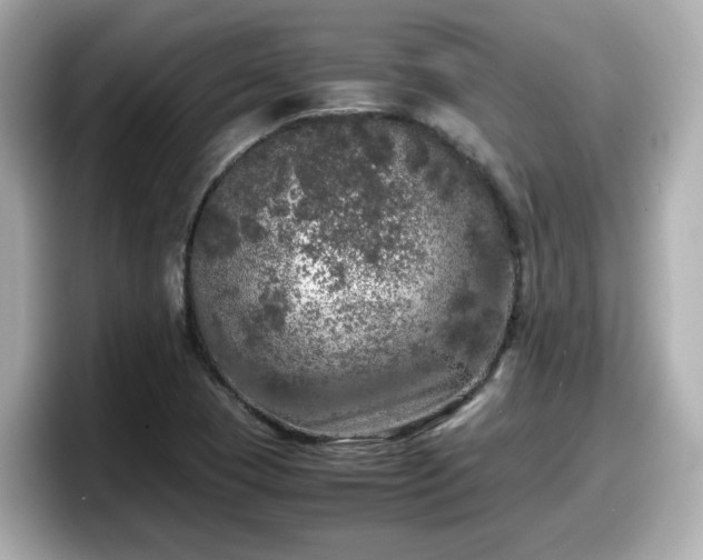 X0000098121409200804111106