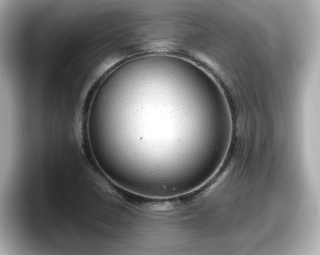 X0000098121410200804111106