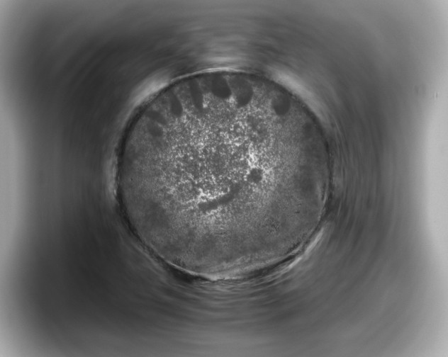 X0000098121411200804111106