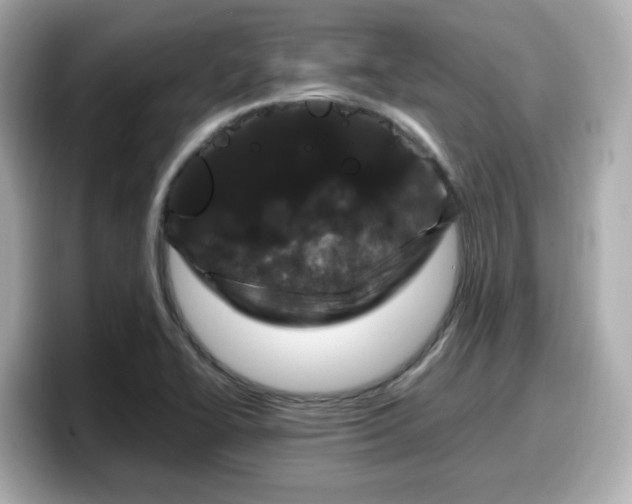 X0000098121414200804111106