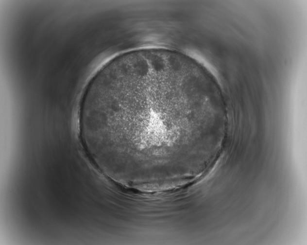 X0000098121415200804111106
