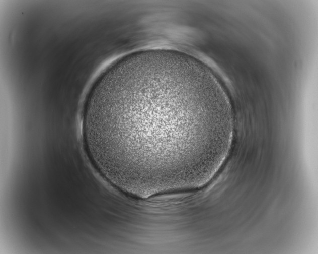 X0000098121416200804111106