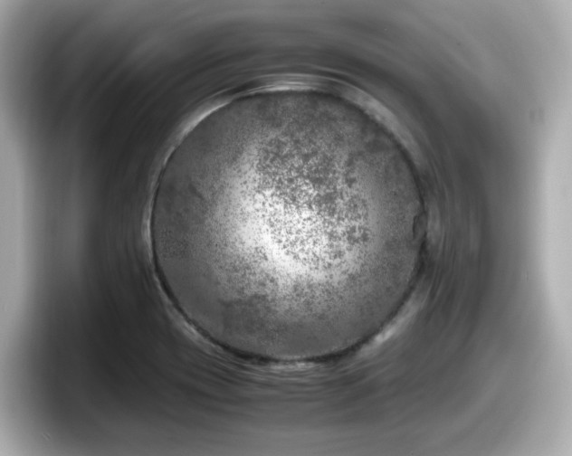 X0000098121417200804111106