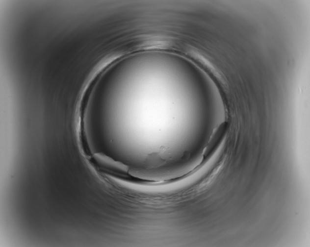 X0000098121418200804111106