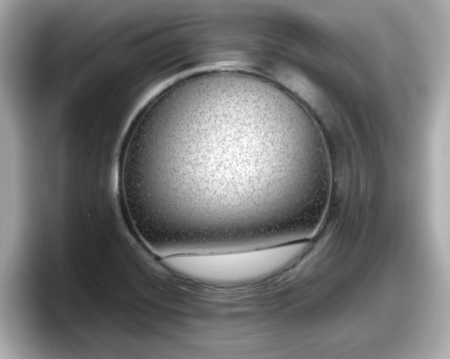 X0000098121420200804111106