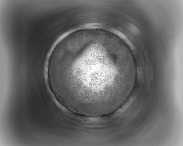 X0000098121421200804111106