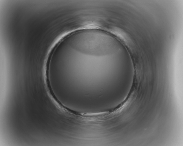 X0000098121422200804111106